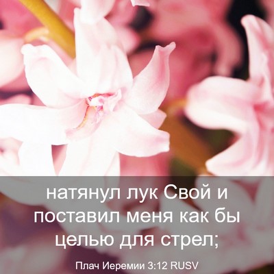Picture 03 - Плач Иеремии 3:12 RUSV - натянул лук Свой и - Bible Verse Picture