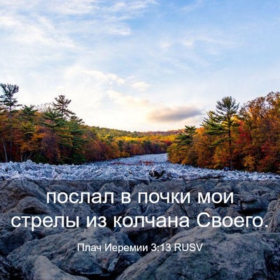 Picture 03 - Плач Иеремии 3:13 RUSV - послал в почки мои стрелы - Bible Verse Picture