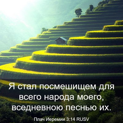 Picture 03 - Плач Иеремии 3:14 RUSV - Я стал посмешищем для - Bible Verse Picture