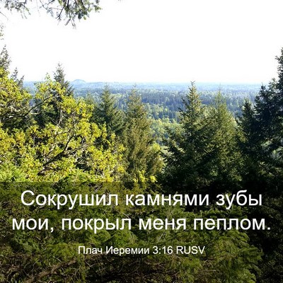 Picture 03 - Плач Иеремии 3:16 RUSV - Сокрушил камнями зубы мои, - Bible Verse Picture