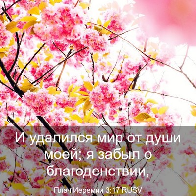 Picture 03 - Плач Иеремии 3:17 RUSV - И удалился мир от души - Bible Verse Picture