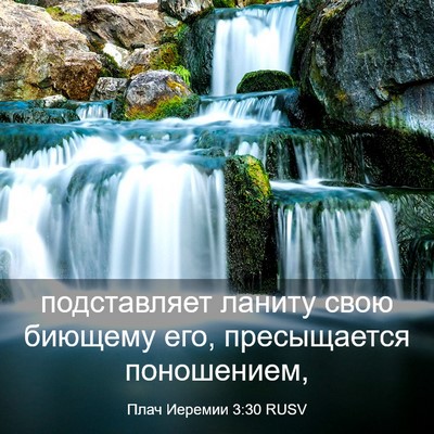 Picture 03 - Плач Иеремии 3:30 RUSV - подставляет ланиту свою - Bible Verse Picture
