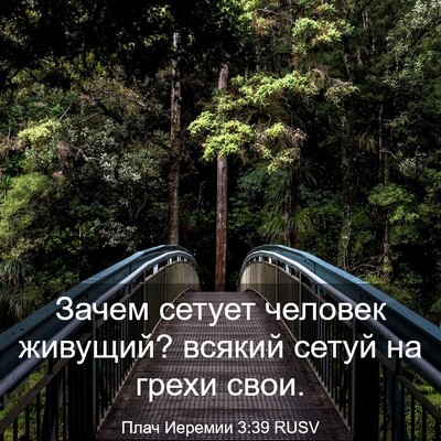 Picture 03 - Плач Иеремии 3:39 RUSV - Зачем сетует человек - Bible Verse Picture