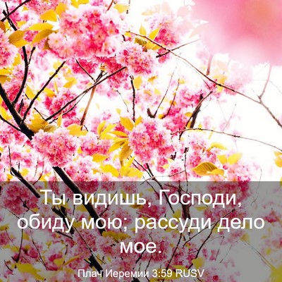 Picture 03 - Плач Иеремии 3:59 RUSV - Ты видишь, Господи, обиду - Bible Verse Picture