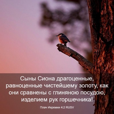 Picture 03 - Плач Иеремии 4:2 RUSV - Сыны Сиона драгоценные, - Bible Verse Picture