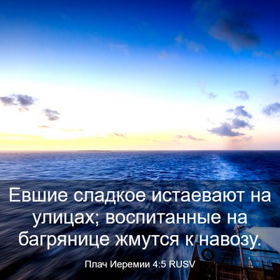 Picture 03 - Плач Иеремии 4:5 RUSV - Евшие сладкое истаевают на - Bible Verse Picture