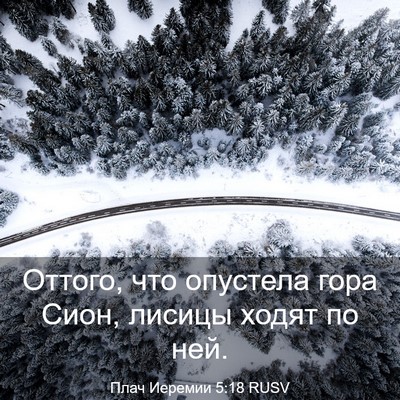 Picture 03 - Плач Иеремии 5:18 RUSV - Оттого, что опустела гора - Bible Verse Picture