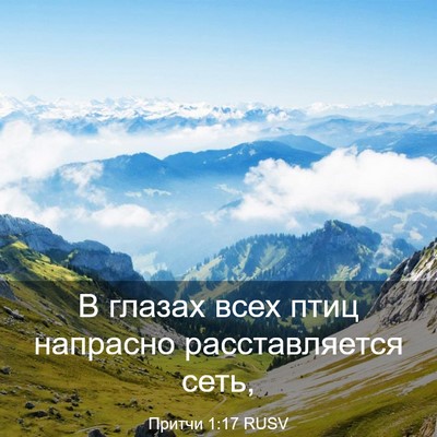 Picture 03 - Притчи 1:17 RUSV - В глазах всех птиц - Bible Verse Picture