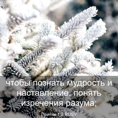 Picture 03 - Притчи 1:2 RUSV - чтобы познать мудрость и - Bible Verse Picture