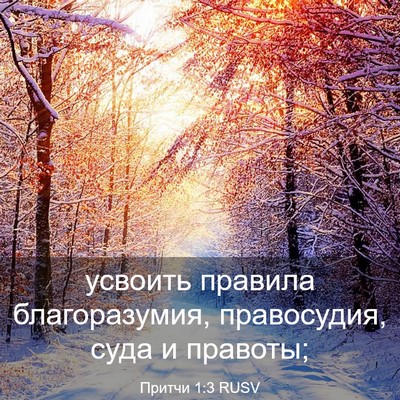 Picture 03 - Притчи 1:3 RUSV - усвоить правила - Bible Verse Picture
