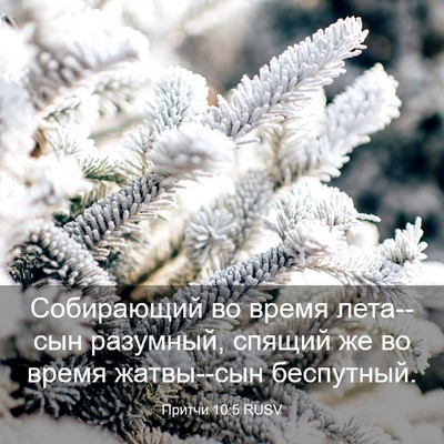 Picture 03 - Притчи 10:5 RUSV - Собирающий во время - Bible Verse Picture