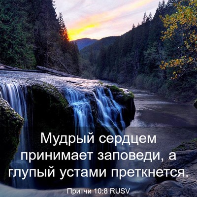 Picture 03 - Притчи 10:8 RUSV - Мудрый сердцем принимает - Bible Verse Picture