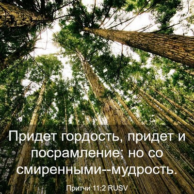 Picture 03 - Притчи 11:2 RUSV - Придет гордость, придет и - Bible Verse Picture
