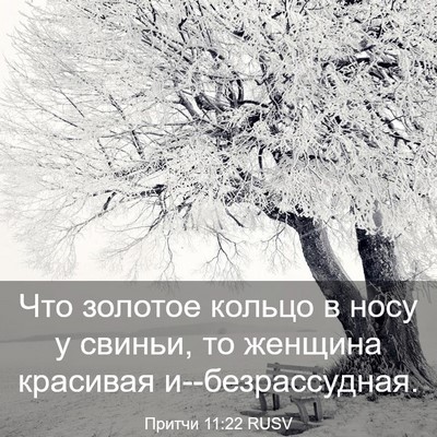 Picture 03 - Притчи 11:22 RUSV - Что золотое кольцо в носу у - Bible Verse Picture