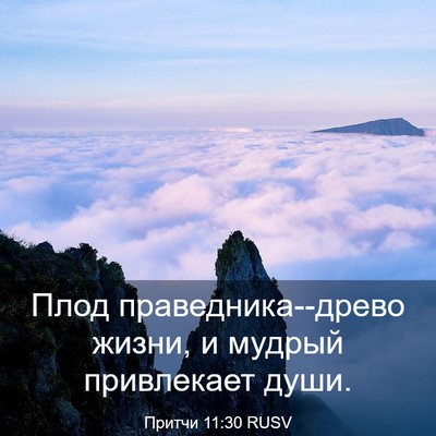 Picture 03 - Притчи 11:30 RUSV - Плод праведника--древо - Bible Verse Picture