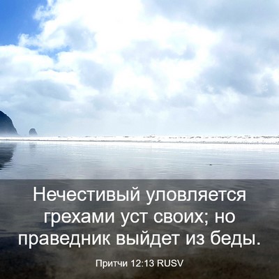 Picture 03 - Притчи 12:13 RUSV - Нечестивый уловляется - Bible Verse Picture