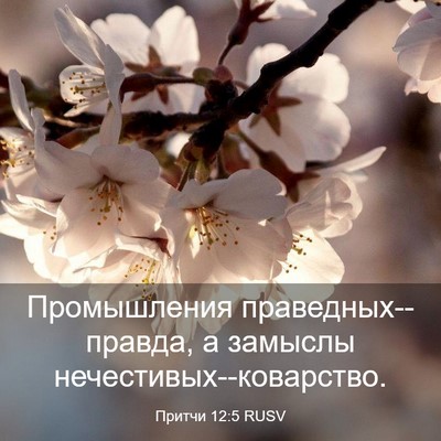 Picture 03 - Притчи 12:5 RUSV - Промышления - Bible Verse Picture