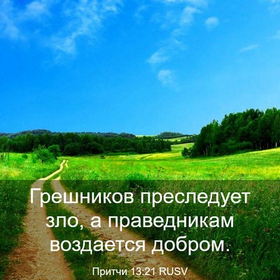 Picture 03 - Притчи 13:21 RUSV - Грешников преследует зло, - Bible Verse Picture