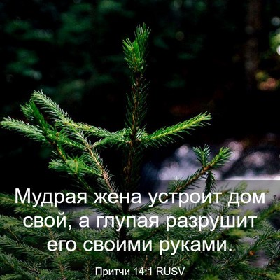 Picture 03 - Притчи 14:1 RUSV - Мудрая жена устроит дом - Bible Verse Picture