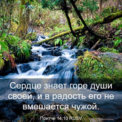 Picture 03 - Притчи 14:10 RUSV - Сердце знает горе души - Bible Verse Picture