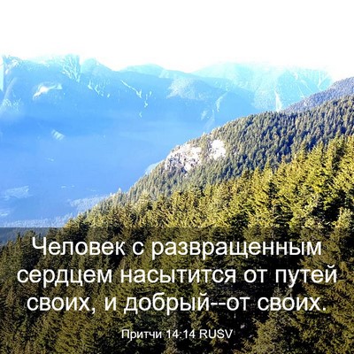 Picture 03 - Притчи 14:14 RUSV - Человек с развращенным - Bible Verse Picture