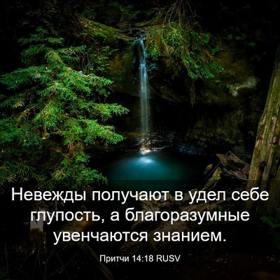 Picture 03 - Притчи 14:18 RUSV - Невежды получают в удел - Bible Verse Picture