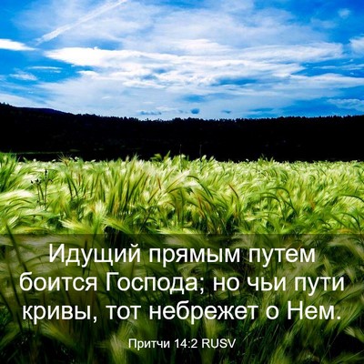 Picture 03 - Притчи 14:2 RUSV - Идущий прямым путем боится - Bible Verse Picture