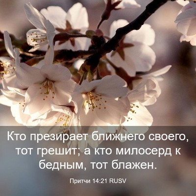 Picture 03 - Притчи 14:21 RUSV - Кто презирает ближнего - Bible Verse Picture