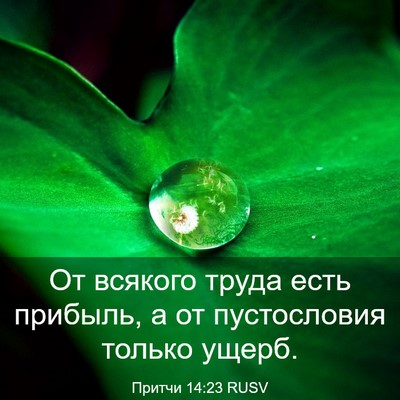 Picture 03 - Притчи 14:23 RUSV - От всякого труда есть - Bible Verse Picture