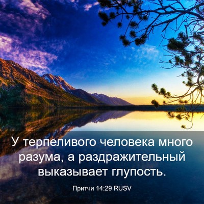 Picture 03 - Притчи 14:29 RUSV - У терпеливого человека - Bible Verse Picture
