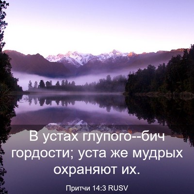 Picture 03 - Притчи 14:3 RUSV - В устах глупого--бич - Bible Verse Picture