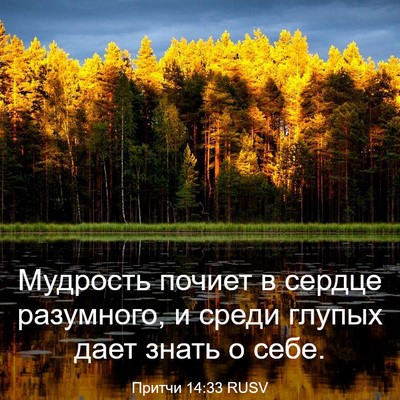 Picture 03 - Притчи 14:33 RUSV - Мудрость почиет в сердце - Bible Verse Picture