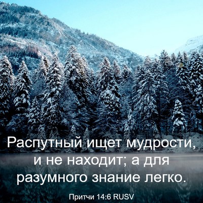 Picture 03 - Притчи 14:6 RUSV - Распутный ищет мудрости, и - Bible Verse Picture