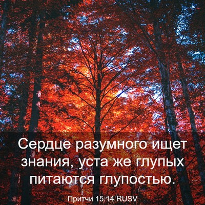 Picture 03 - Притчи 15:14 RUSV - Сердце разумного ищет - Bible Verse Picture