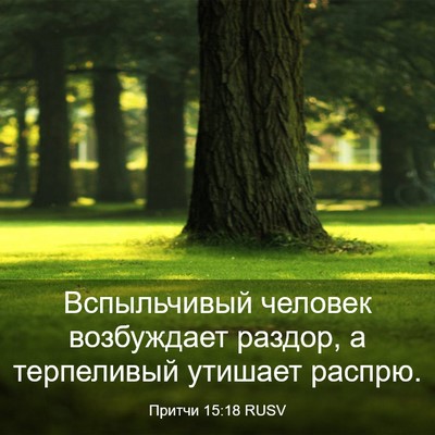 Picture 03 - Притчи 15:18 RUSV - Вспыльчивый человек - Bible Verse Picture