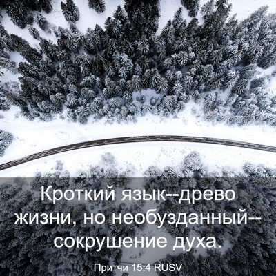 Picture 03 - Притчи 15:4 RUSV - Кроткий язык--древо жизни, - Bible Verse Picture