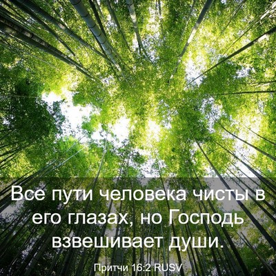 Picture 03 - Притчи 16:2 RUSV - Все пути человека чисты в - Bible Verse Picture