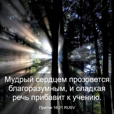 Picture 03 - Притчи 16:21 RUSV - Мудрый сердцем прозовется - Bible Verse Picture