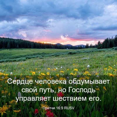 Picture 03 - Притчи 16:9 RUSV - Сердце человека - Bible Verse Picture