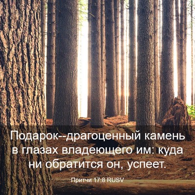 Picture 03 - Притчи 17:8 RUSV - Подарок--драгоценный - Bible Verse Picture