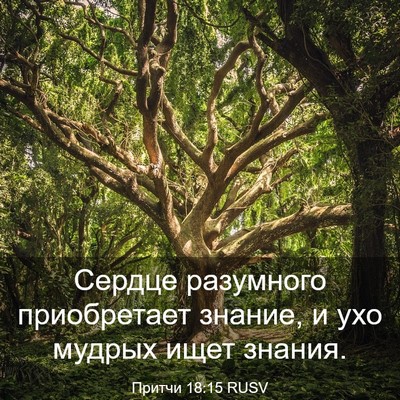 Picture 03 - Притчи 18:15 RUSV - Сердце разумного - Bible Verse Picture