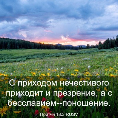 Picture 03 - Притчи 18:3 RUSV - С приходом нечестивого - Bible Verse Picture