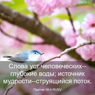 Picture 03 - Притчи 18:4 RUSV - Слова уст - Bible Verse Picture