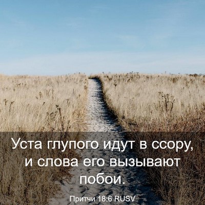 Picture 03 - Притчи 18:6 RUSV - Уста глупого идут в ссору, - Bible Verse Picture