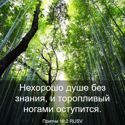 Picture 03 - Притчи 19:2 RUSV - Нехорошо душе без знания, и - Bible Verse Picture