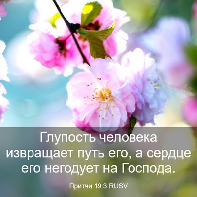 Picture 03 - Притчи 19:3 RUSV - Глупость человека - Bible Verse Picture