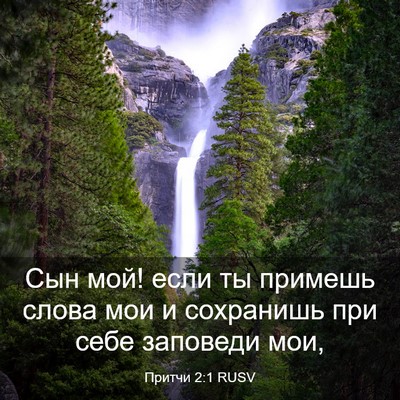 Picture 03 - Притчи 2:1 RUSV - Сын мой! если ты примешь - Bible Verse Picture
