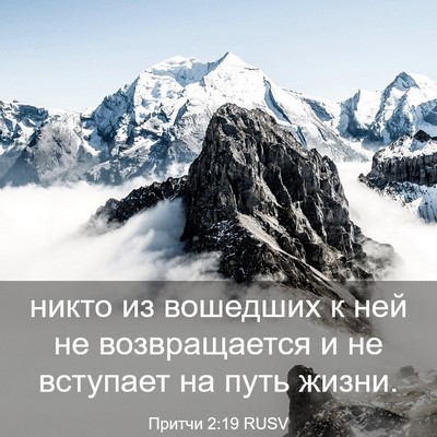 Picture 03 - Притчи 2:19 RUSV - никто из вошедших к ней не - Bible Verse Picture