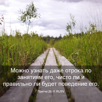 Picture 03 - Притчи 20:11 RUSV - Можно узнать даже отрока - Bible Verse Picture