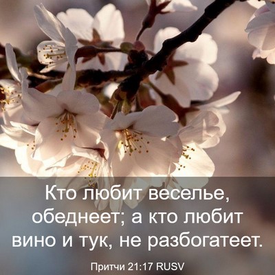 Picture 03 - Притчи 21:17 RUSV - Кто любит веселье, - Bible Verse Picture